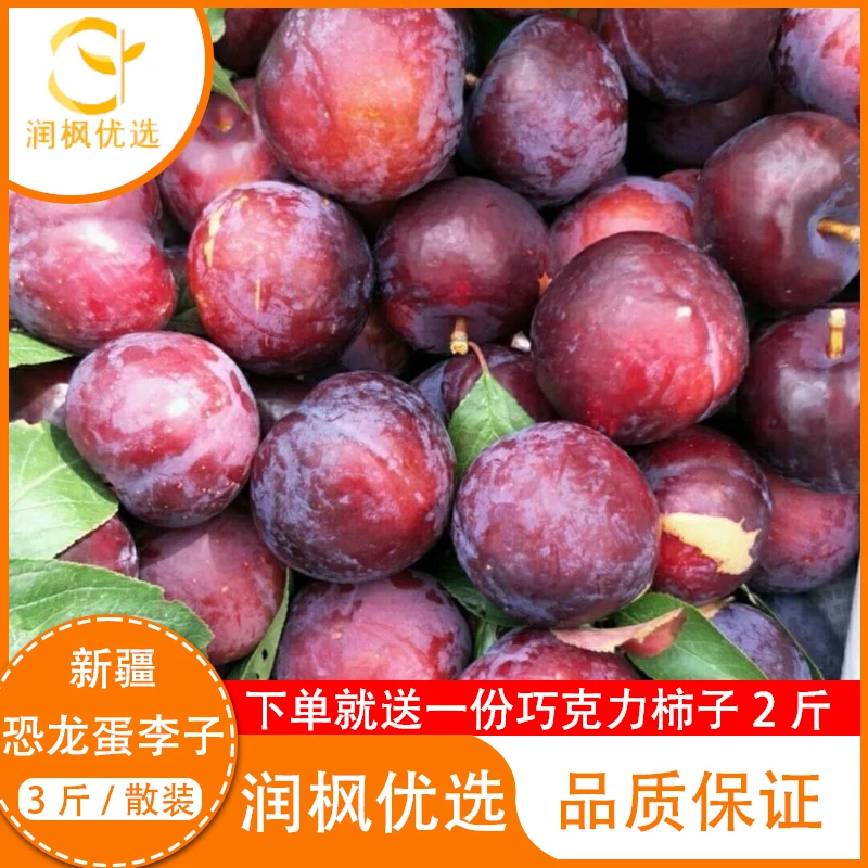 恐龙蛋李子 3斤装 （赠送一份巧克力柿子2斤）