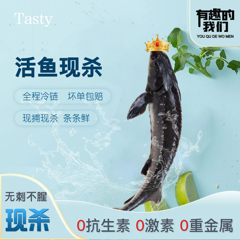【现捕现杀】无刺带龙筋孕妇婴儿辅食2.5-30斤冷链清蒸烧烤养殖可食
