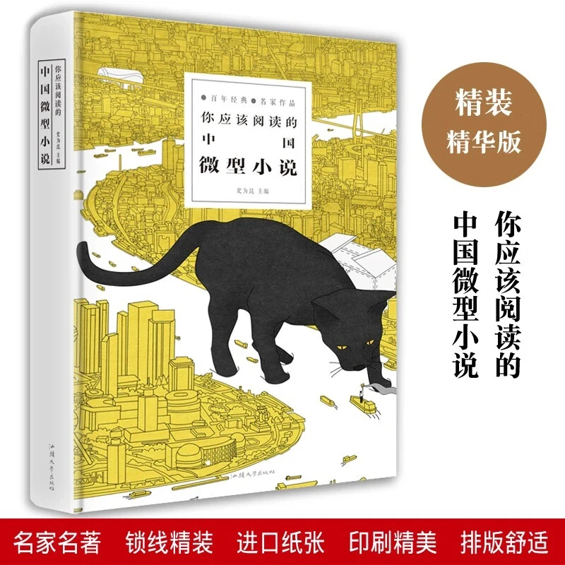 你应该阅读的中国微型小说 百年经典名家作品 青春文学短篇现当代