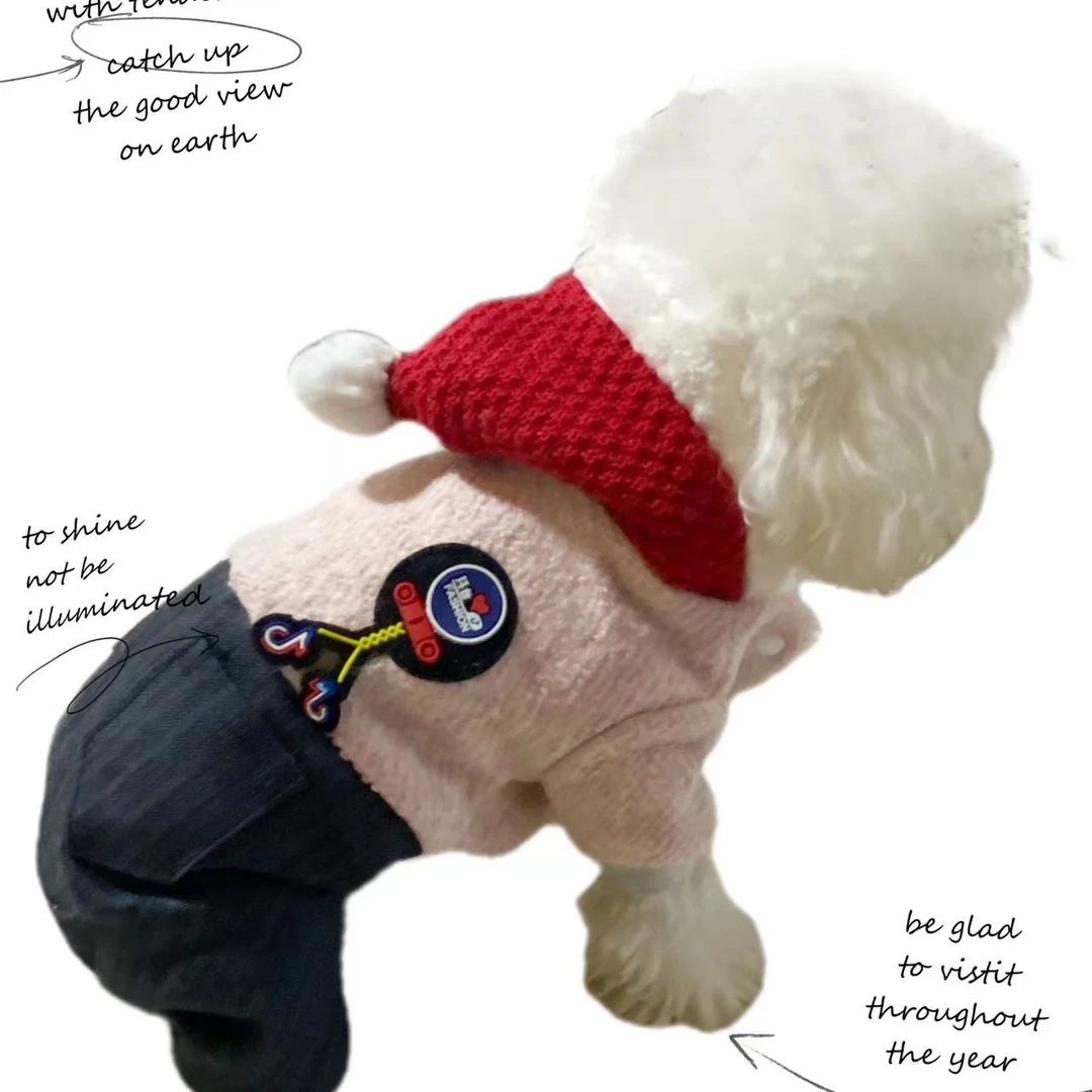 狗狗棉服宠物小狗衣服泰迪雪瑞纳比熊宠物衣服四腿衣加厚保暖