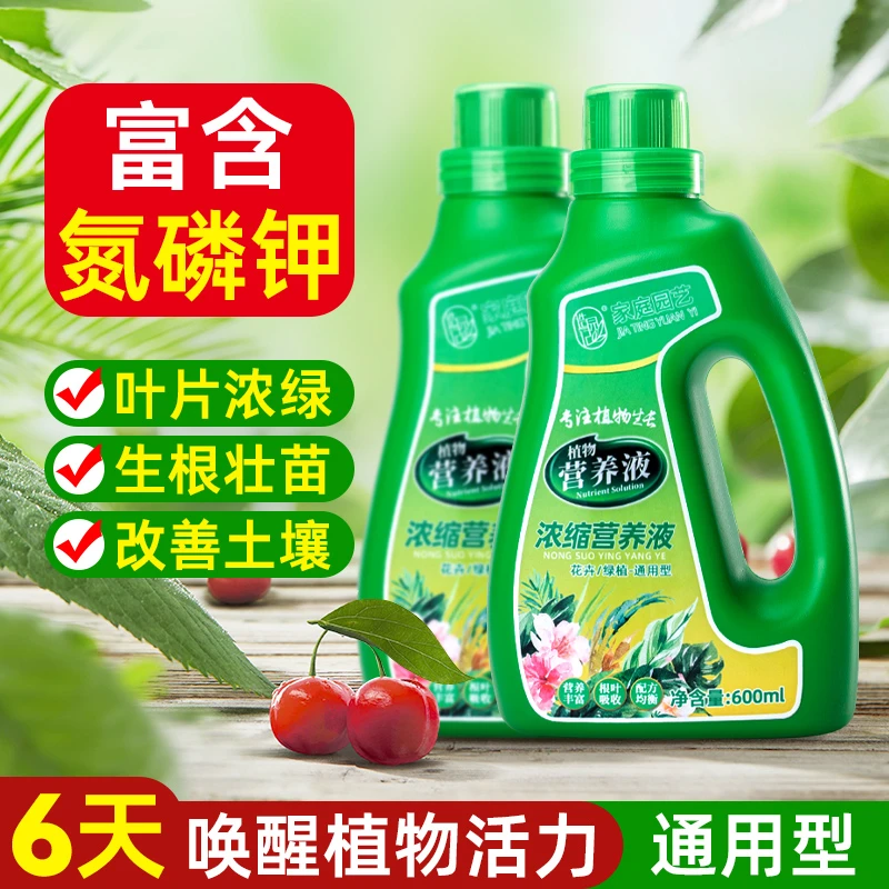 营养液植物通用型绿萝富贵竹发财树巴西木多肉水培养花卉绿植花肥