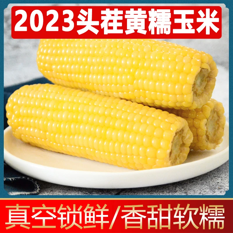 【2023年头采】东北黄糯玉米棒6斤/箱 非转基因真空包装粘香甜粗粮