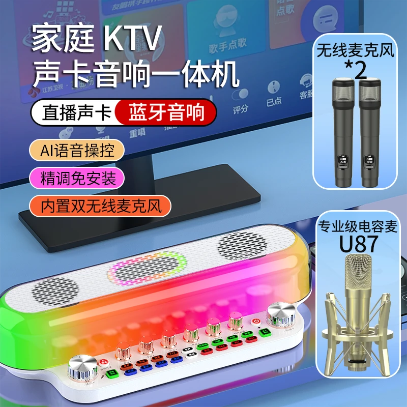 诺必行2024新款sy12专业直播唱歌室内户外KTV声卡音响一体机套装