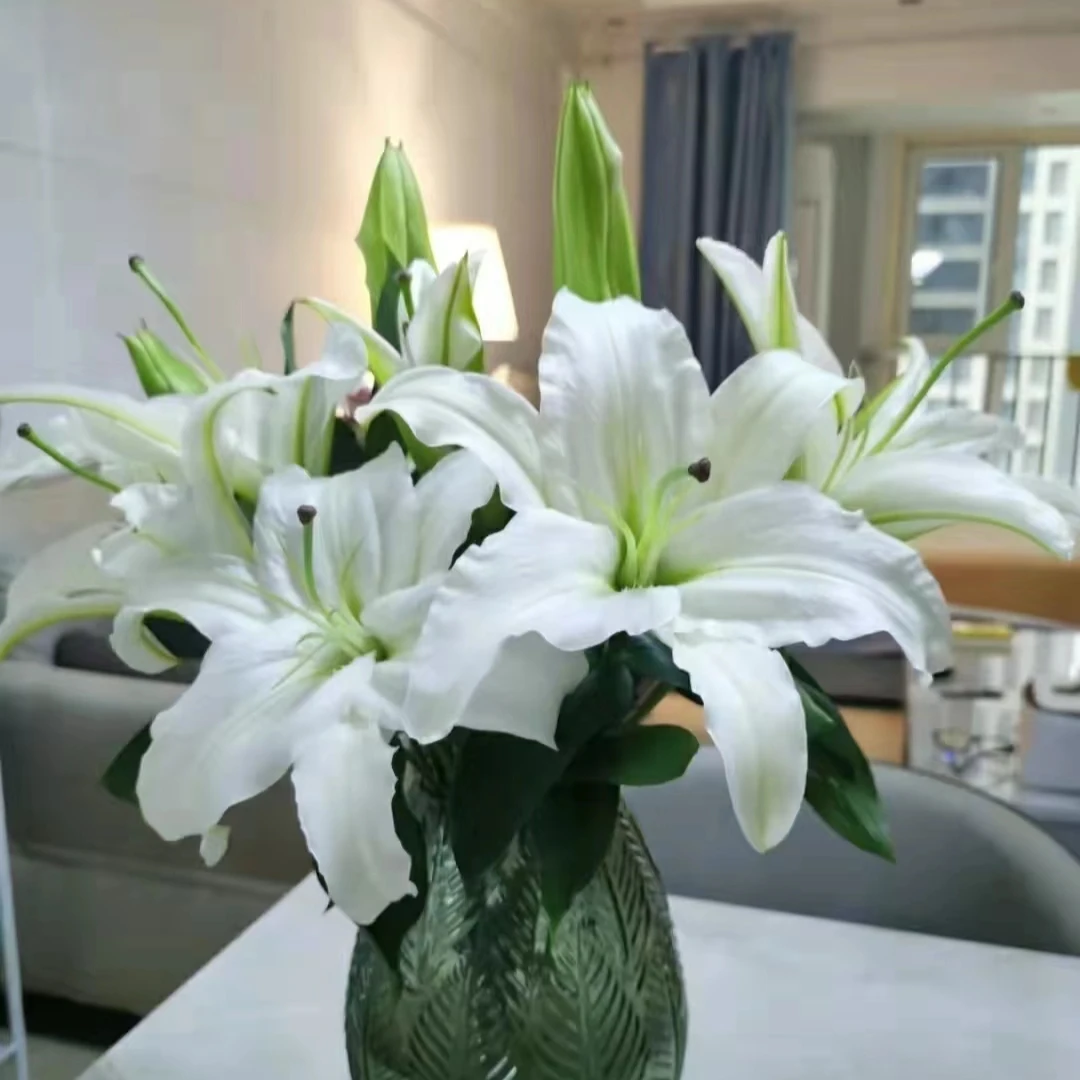 【白百合】东北鲜花 辽宁凌源白百合鲜切花 居家办公室插瓶水养