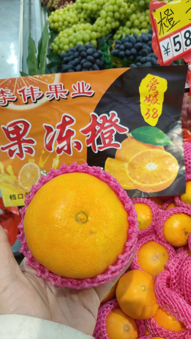 爱媛果冻橙五斤装±50g