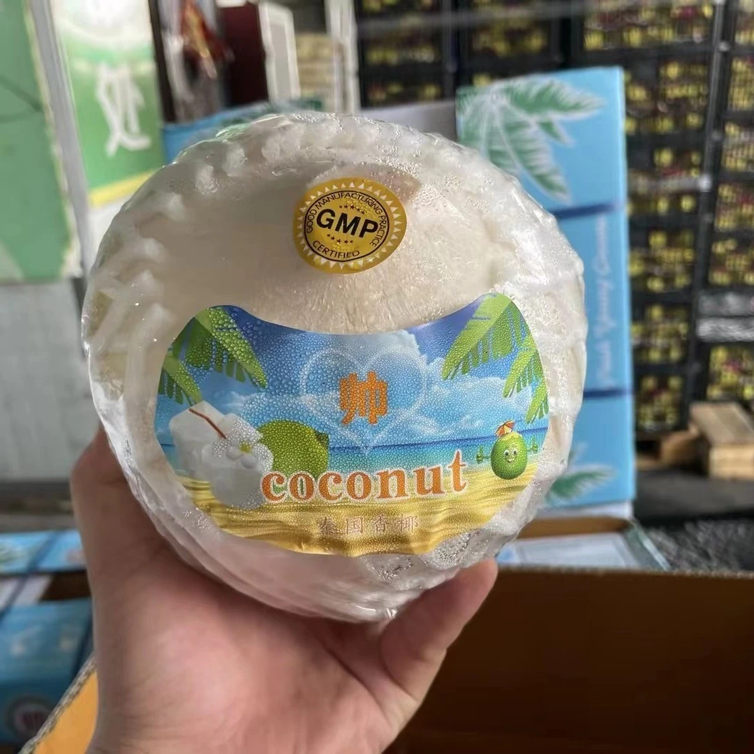 品牌泰国椰青一个