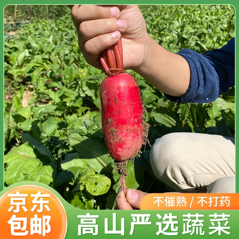 【京东包邮】湖北恩施高山红萝卜5斤