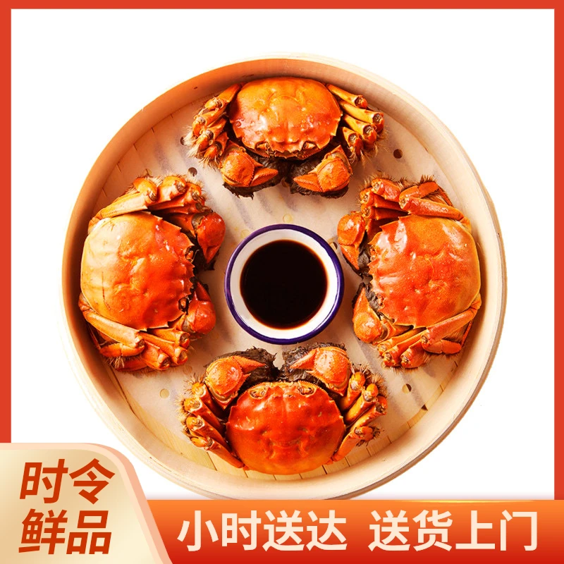 【福利款】鲜活大闸蟹 1.8母八只 鲜活现绑现发