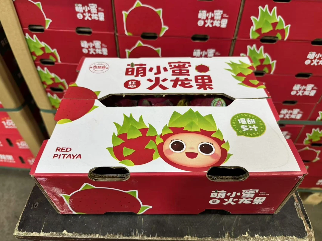 【精品礼盒】 海南 红心火龙果  5颗 果面带花皮 口感纯甜