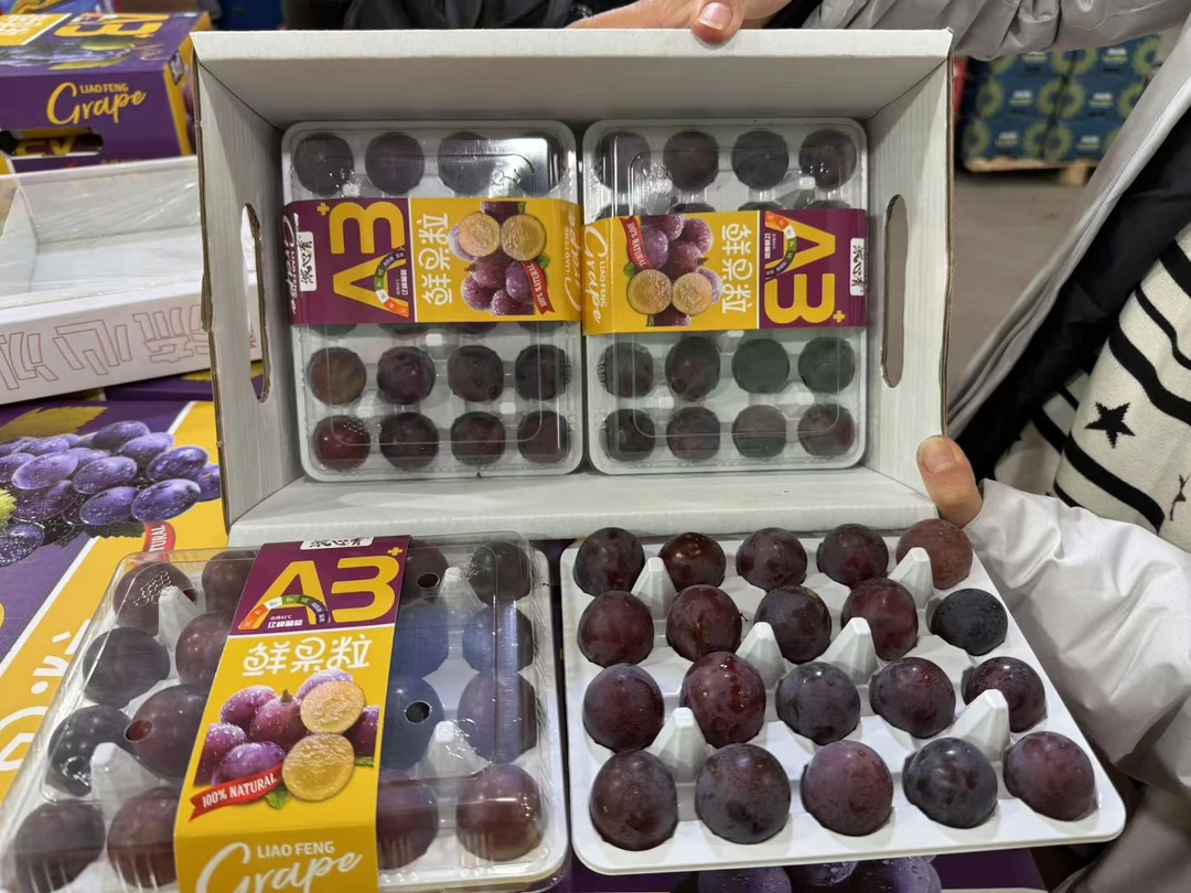 【精品礼盒】辽阳小镇 辽峰葡萄 口感纯甜 3盒包装