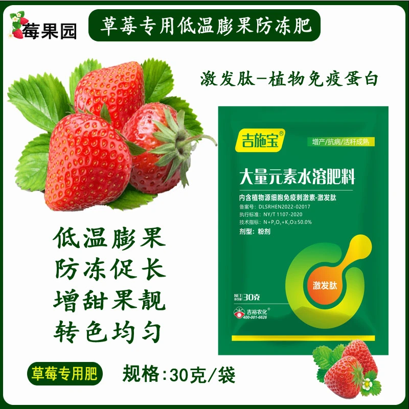 草莓专用肥促花膨果花芽分化低温促长抗病靓果防冻免疫蛋白肥