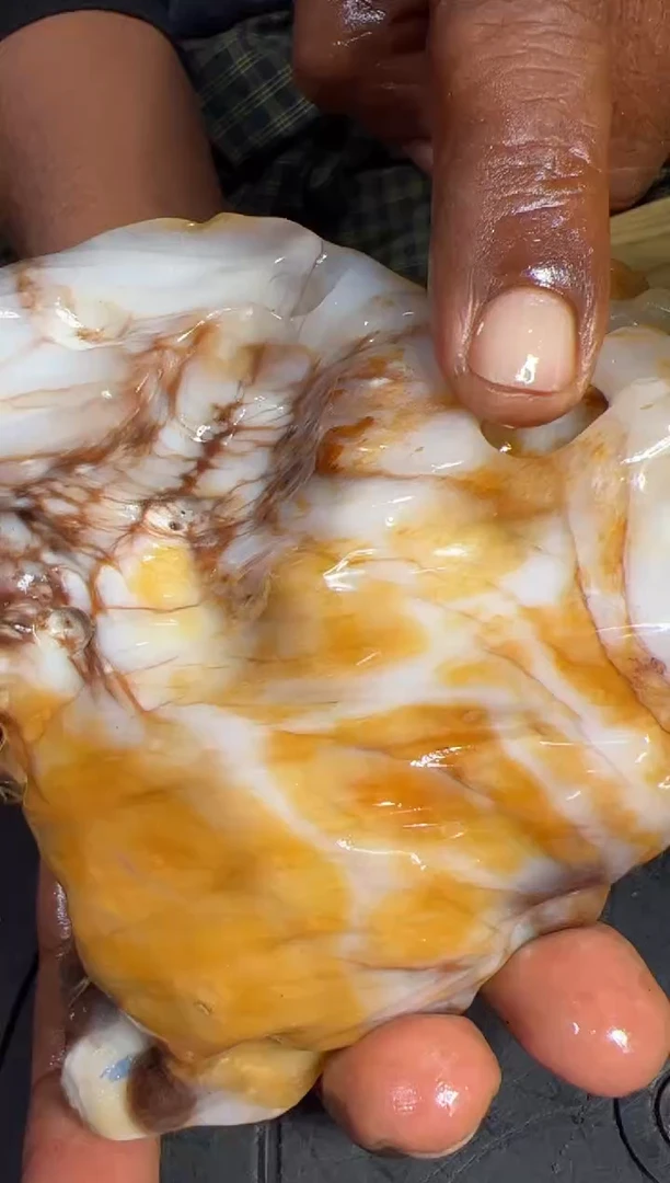 【闪购商品】硅化玉（树化玉）珠宝奇石未镶嵌拍一发一