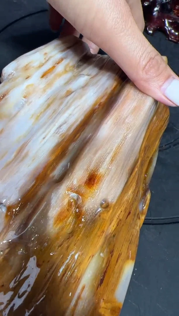 【闪购商品】硅化玉（树化玉）珠宝奇石未镶嵌拍一发一