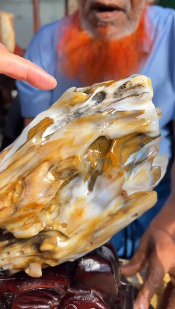 【闪购商品】硅化玉（树化玉）珠宝奇石未镶嵌树化玉拍一发一