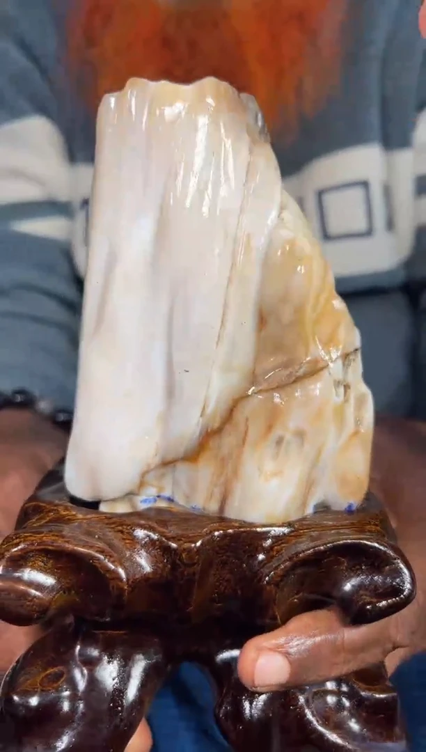 【闪购商品】硅化玉（树化玉）珠宝奇石未镶嵌拍一发一