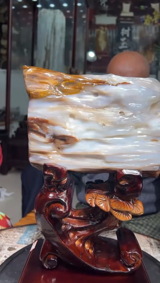 【闪购商品】硅化玉（树化玉）珠宝奇石未镶嵌树化玉拍一发一