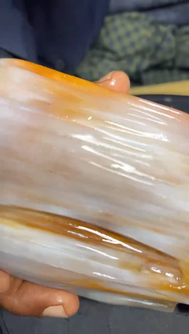 【闪购商品】硅化玉（树化玉）珠宝奇石未镶嵌拍一发一