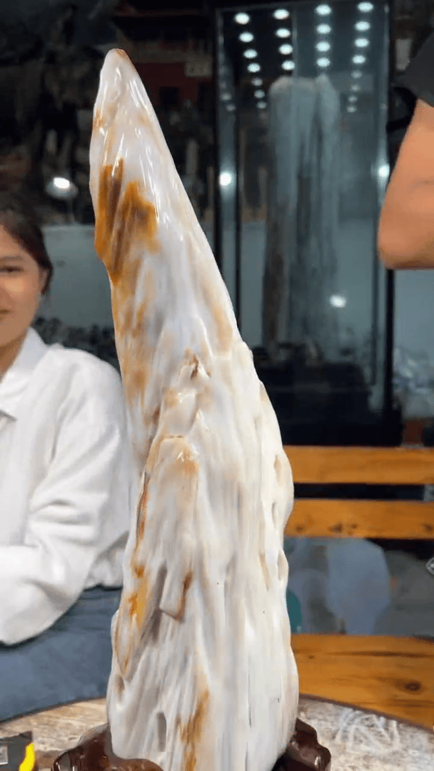 【闪购商品】硅化玉（树化玉）珠宝奇石未镶嵌拍一发一