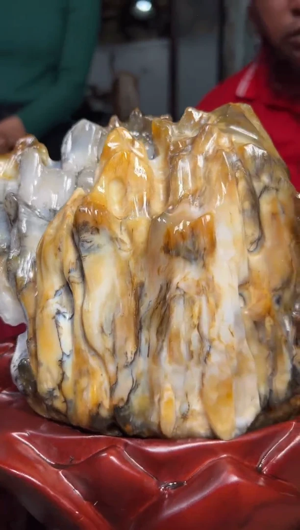 【闪购商品】硅化玉（树化玉）珠宝奇石未镶嵌树化玉拍一发一