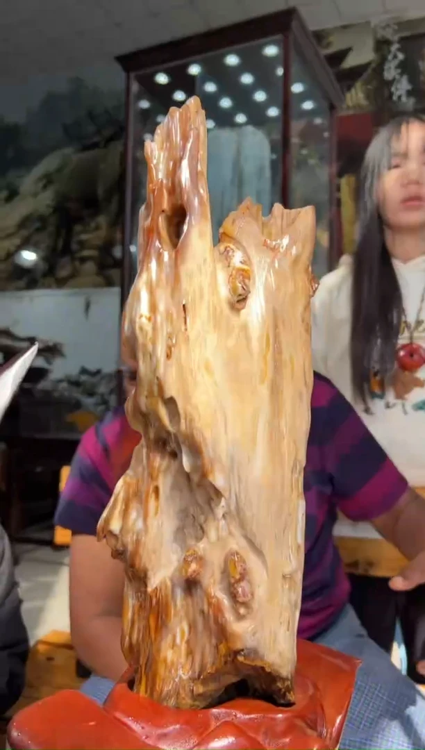 【闪购商品】硅化玉（树化玉）珠宝奇石未镶嵌拍一发一
