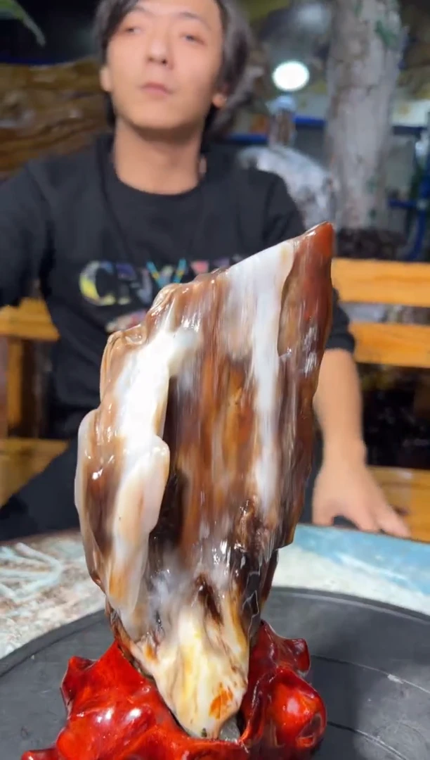 【闪购商品】硅化玉（树化玉）珠宝奇石未镶嵌拍一发一