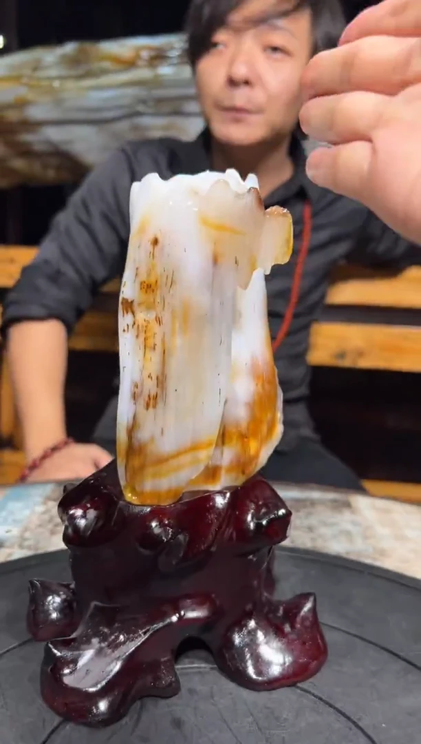 【闪购商品】硅化玉（树化玉）珠宝奇石未镶嵌树化玉拍一发一