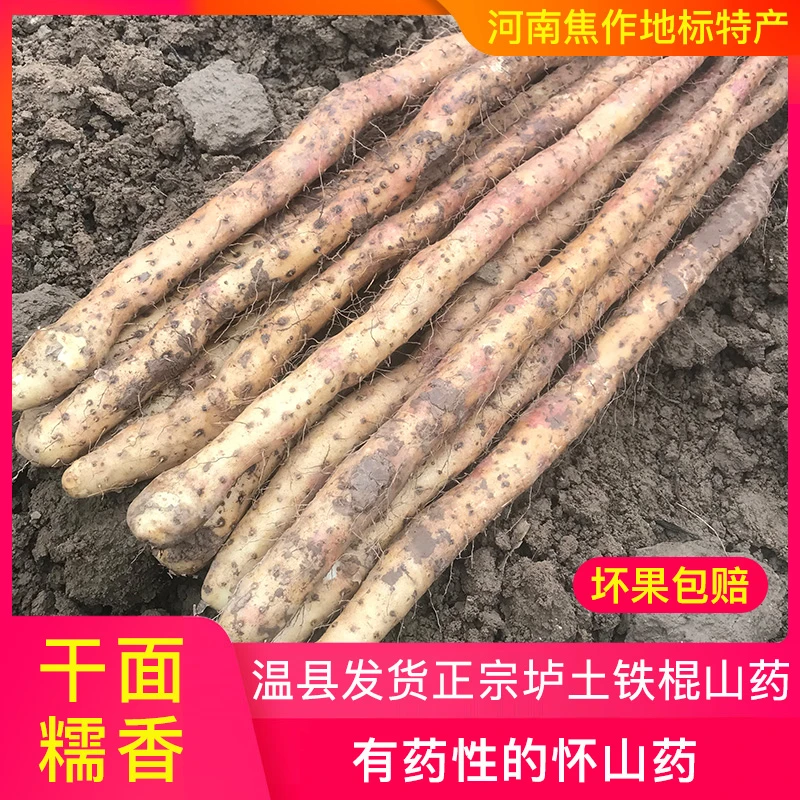 怀山药5斤正宗河南焦作特产温县垆土铁棍山药新鲜铁杆怀山药精选