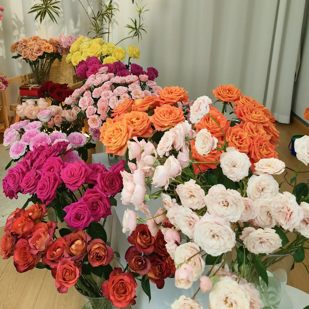 任意高品质花材一份