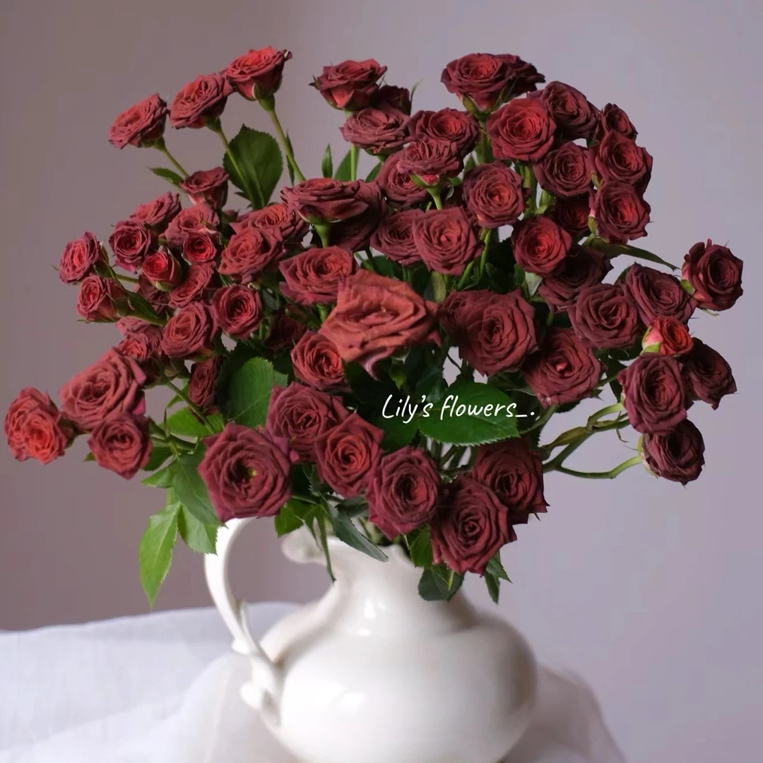 【花心不晚|巧克力泡泡】A级高品质/复古色花期久/莲座花型