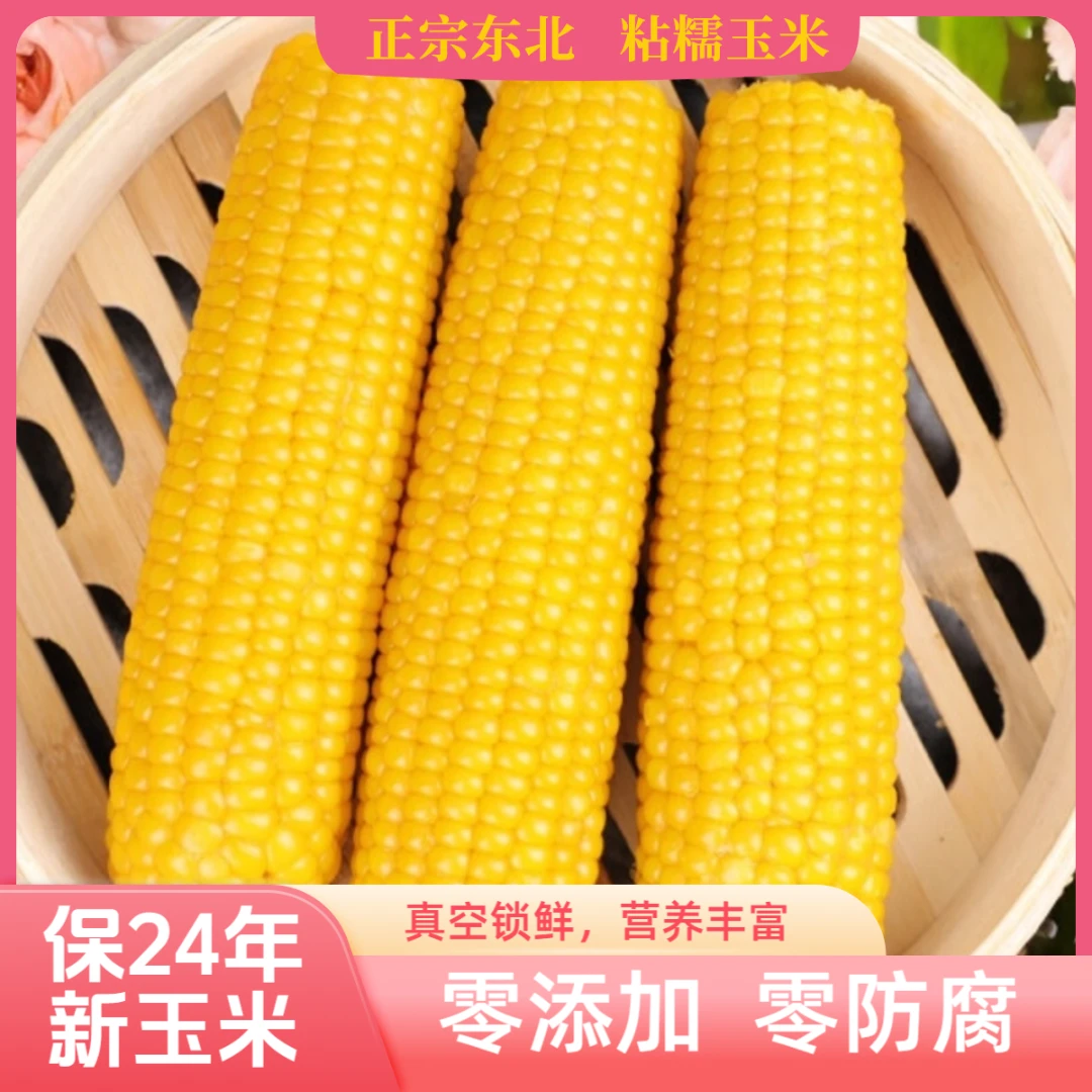 【可试吃】甜糯东北黄甜糯玉米棒香甜新鲜营养铝箔包装特大