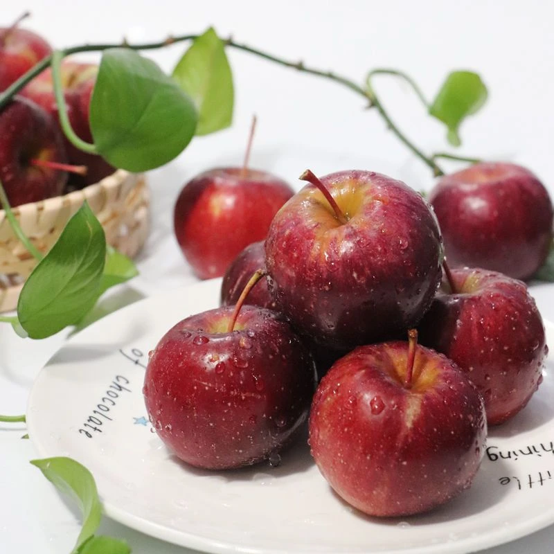 东北龙丰果大秋果新鲜水果特产沙果小苹果大秋果酸甜脆包邮3-5斤