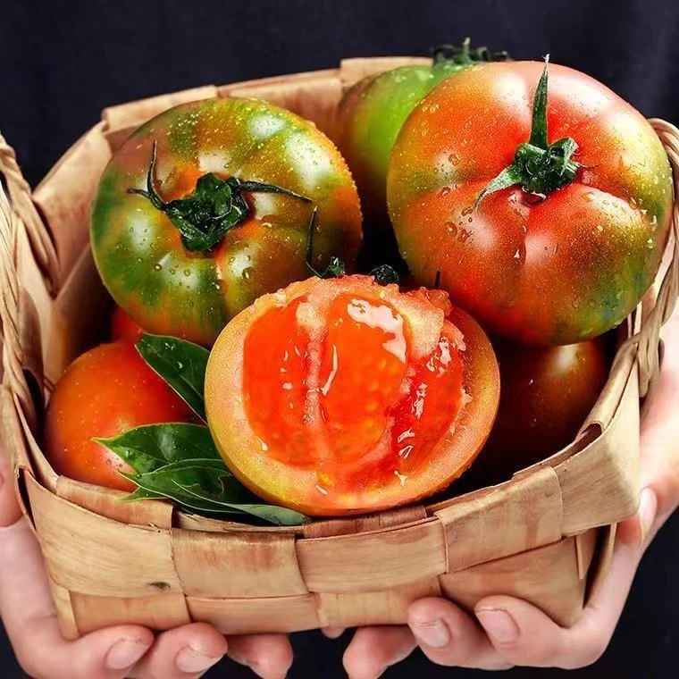 东北农民自种铁皮草莓柿子中小果酸甜顺丰包邮