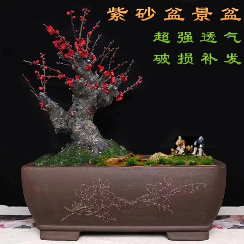紫砂花盆精品盆长方马槽老桩丛林盆花卉绿植榕树室内手工透气大号