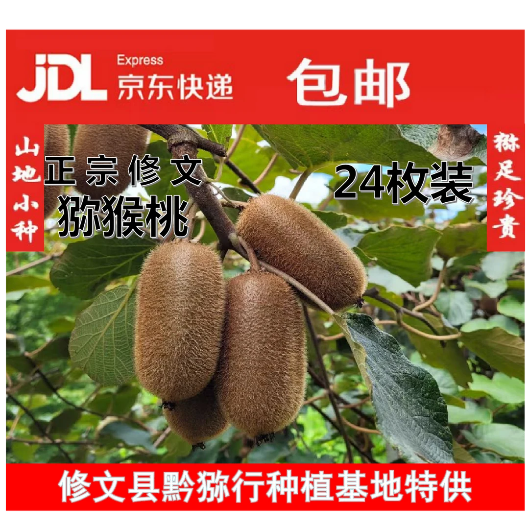 黔猕行&正宗修文猕猴桃、奇异果（120克左右，24枚，精品礼盒装）