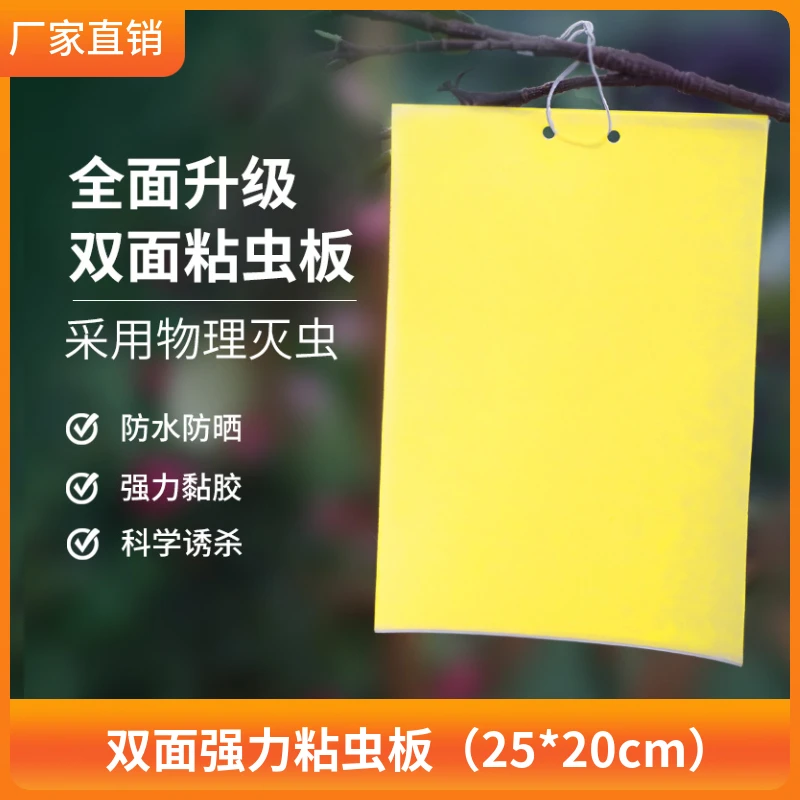 双面粘虫黄板家用室内大棚果园通用防虫板黄板（20*25cm）