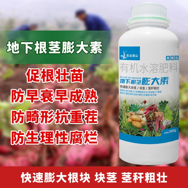 地下根茎块茎膨大素土豆红薯马铃薯大蒜姜作物通用快速粗壮