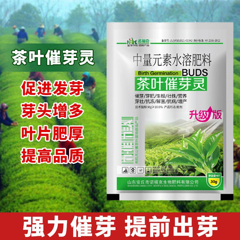 【茶叶催芽灵】茶树专用催芽剂多芽叶面肥绿茶叶催芽生长素