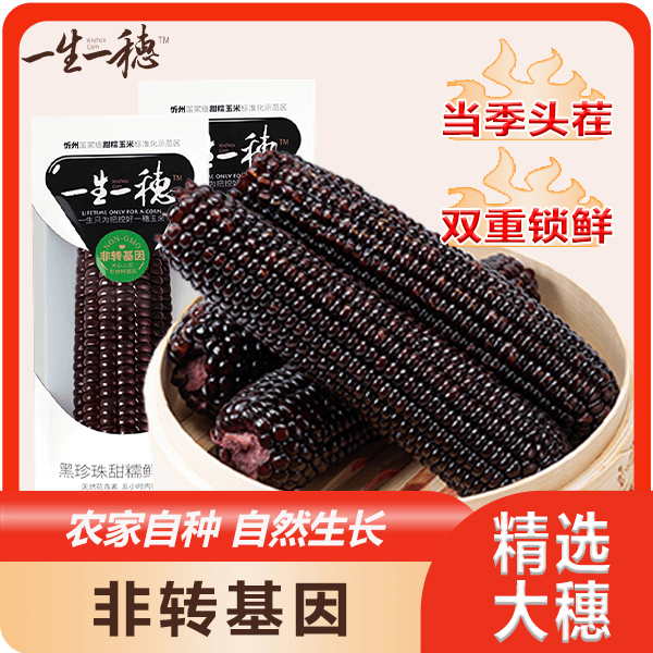 黑糯玉米真空包装上班食用新鲜采摘甜糯早餐代餐粗粮营养非转基因