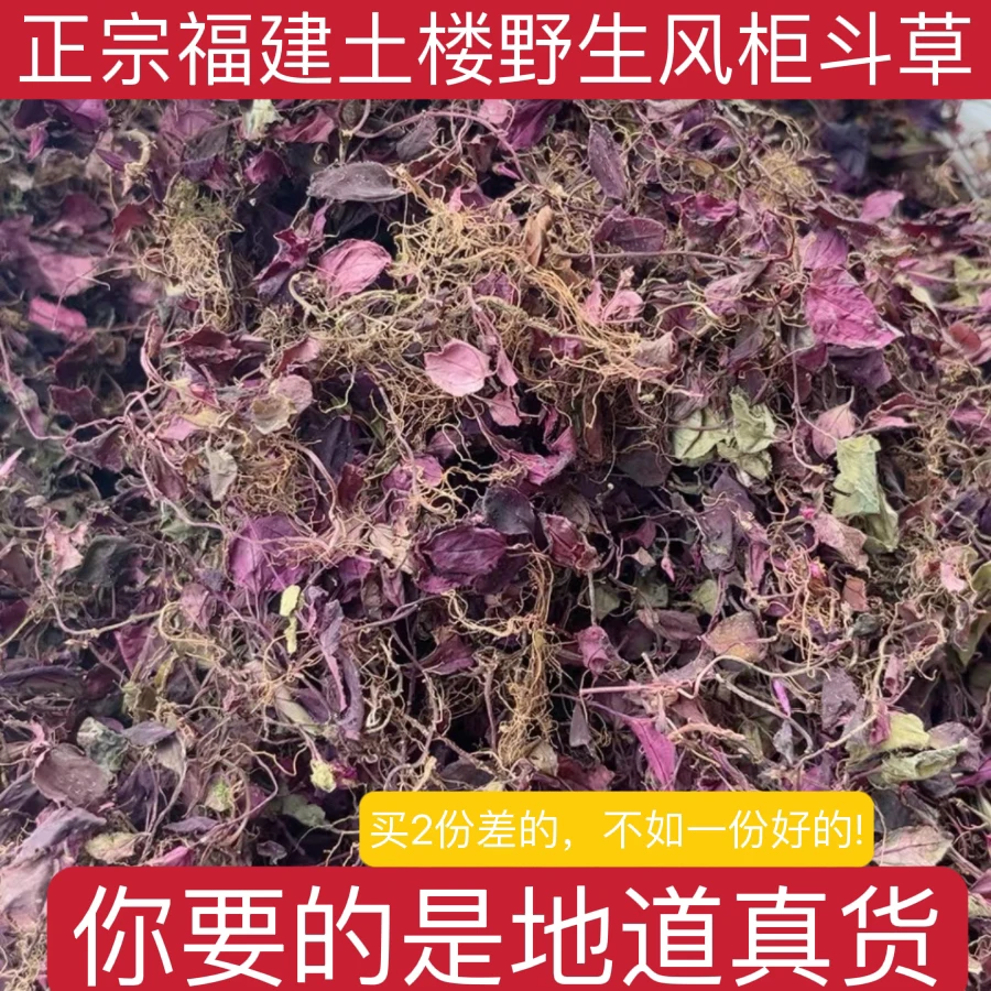 福建南靖土楼野生风柜斗草干品 风鼓草 楮头红原生态50/250克净重
