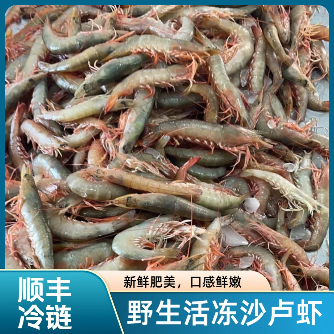 新鲜次品纯天然 沙芦虾（麻虾) 汕尾港深海捕捞优质大虾 冷链配送