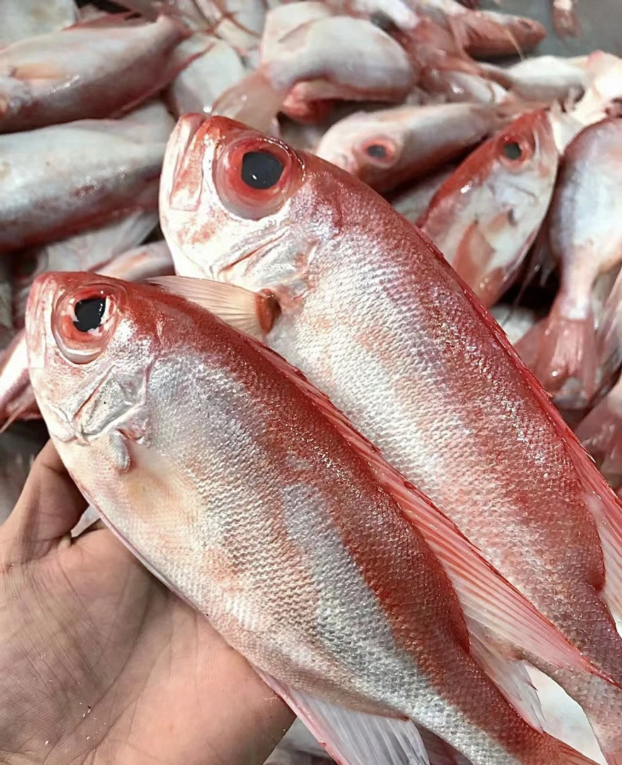 汕尾本港纯天然纯野生红目鲢（大眼鸡）原产地 冷链包邮包新鲜到家