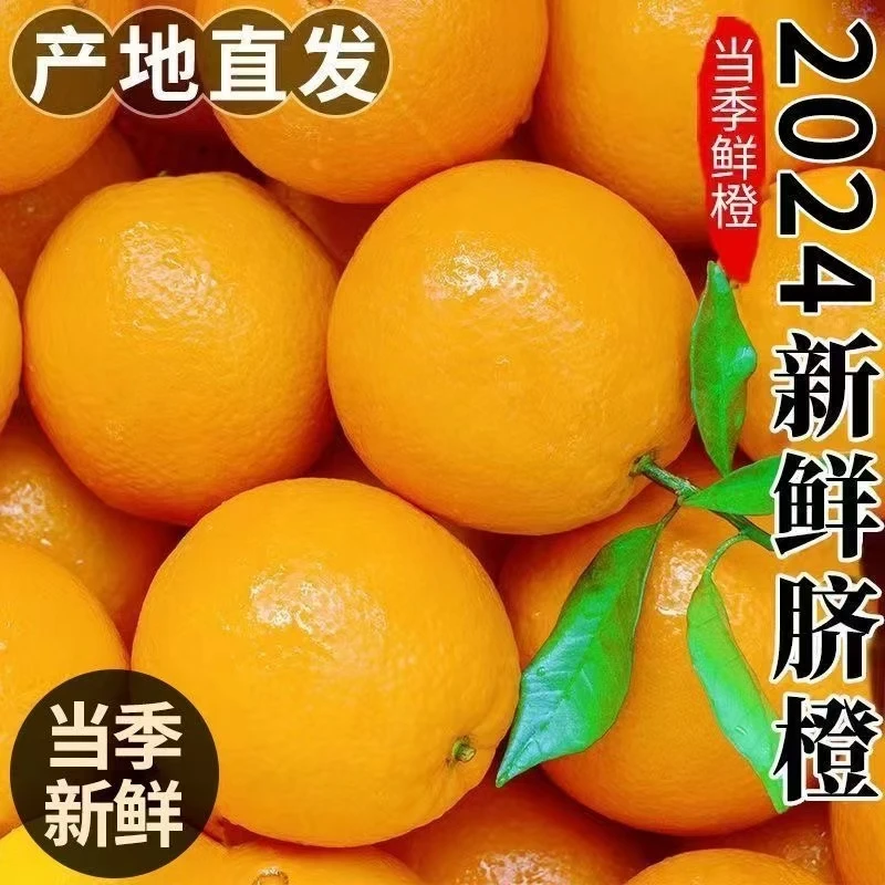江西正宗赣南脐橙新鲜现摘应季水果包甜5斤10斤装坏果包赔包邮