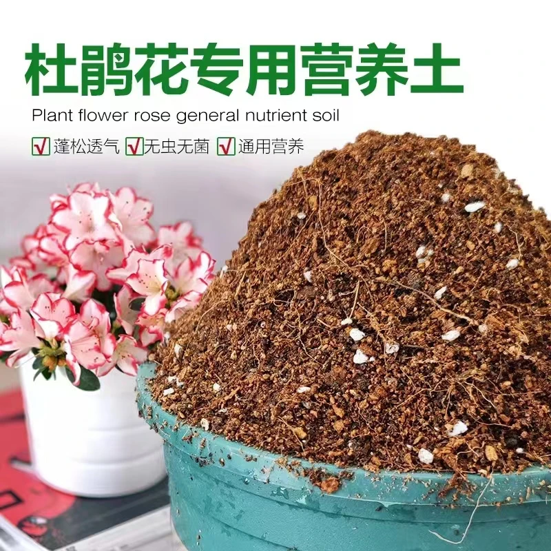 杜鹃花，杜鹃盆景专用土壤，酸性土壤6斤装