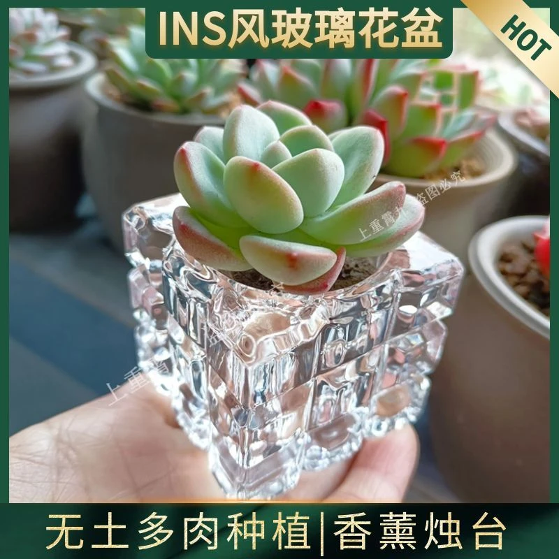 无土手工玻璃花盆透明玻璃瓶绿植种植花器冰块烛台摆件迷你拇指盆
