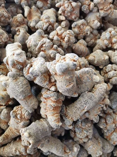 定亮收山货～滑头三七香菇250克500克