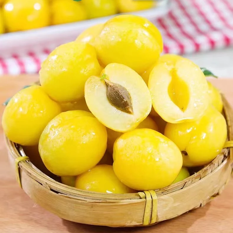 【新疆小白杏】新疆轮台县阳霞镇小白杏产地直发乌鲁木齐空运至全国