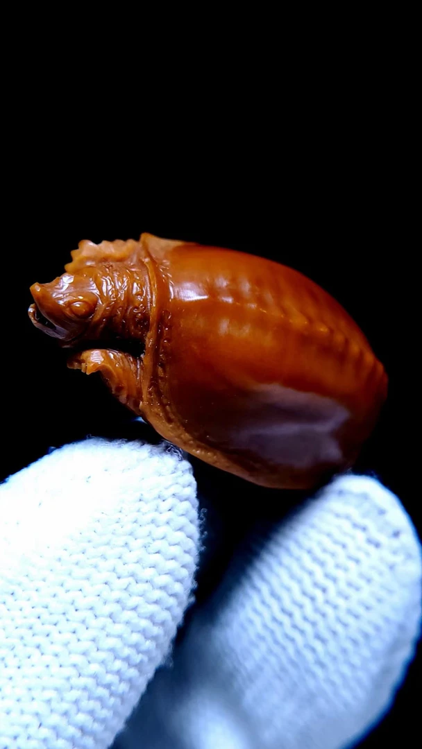 【范道竹核雕艺术】富甲一方尺寸：2.0*2.8/szgw20240606