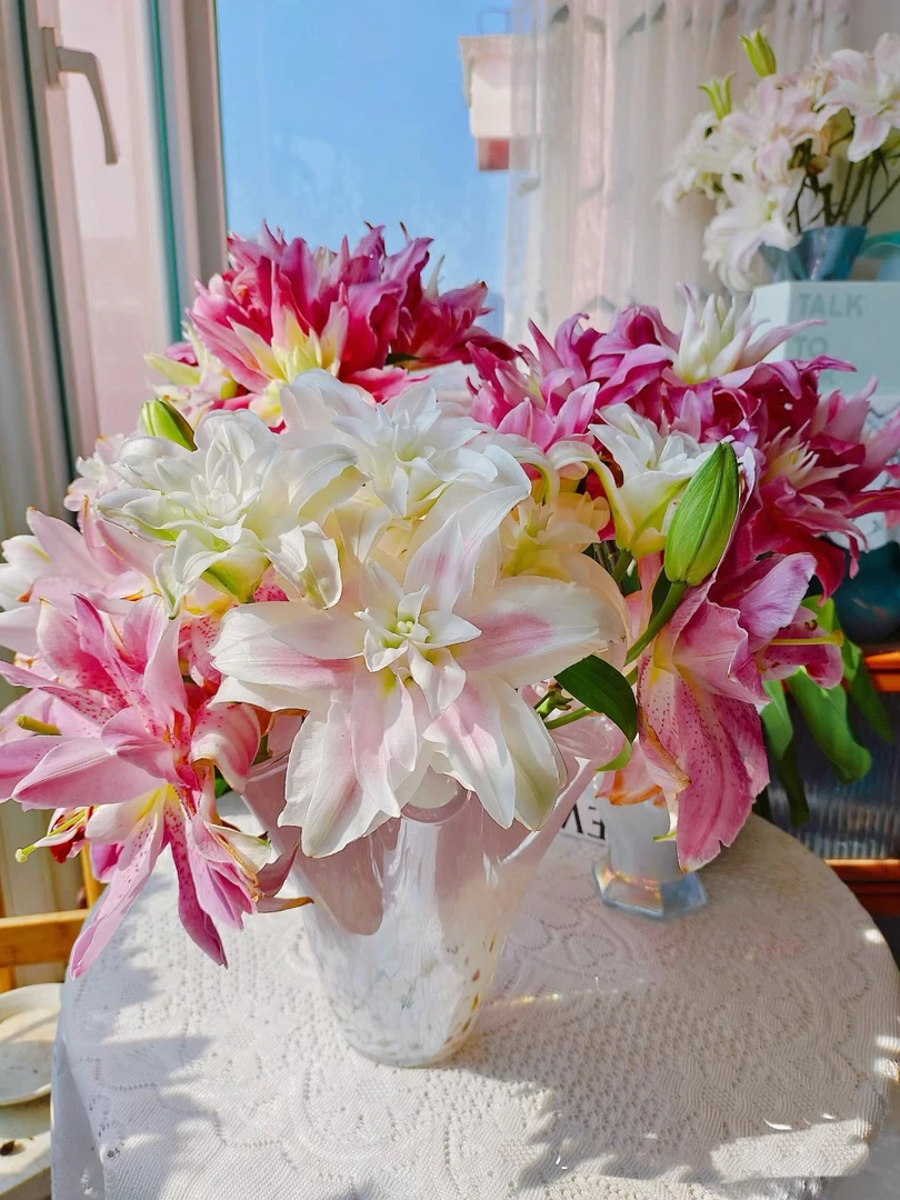 【如熙臻品】混色百合--重瓣（都是正价花的福利，不喜欢的慎拍！）