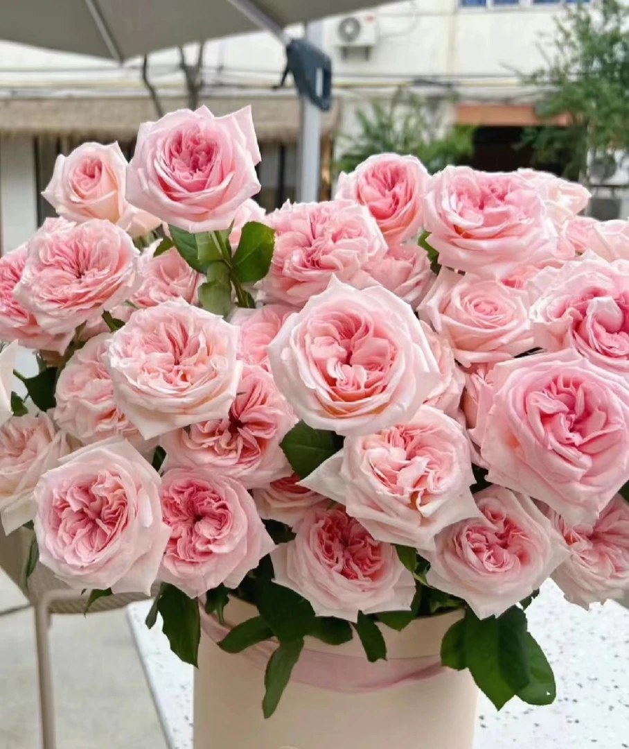 【如熙臻品】单头粉荔枝（注意：收到一定记得带包装醒花！）