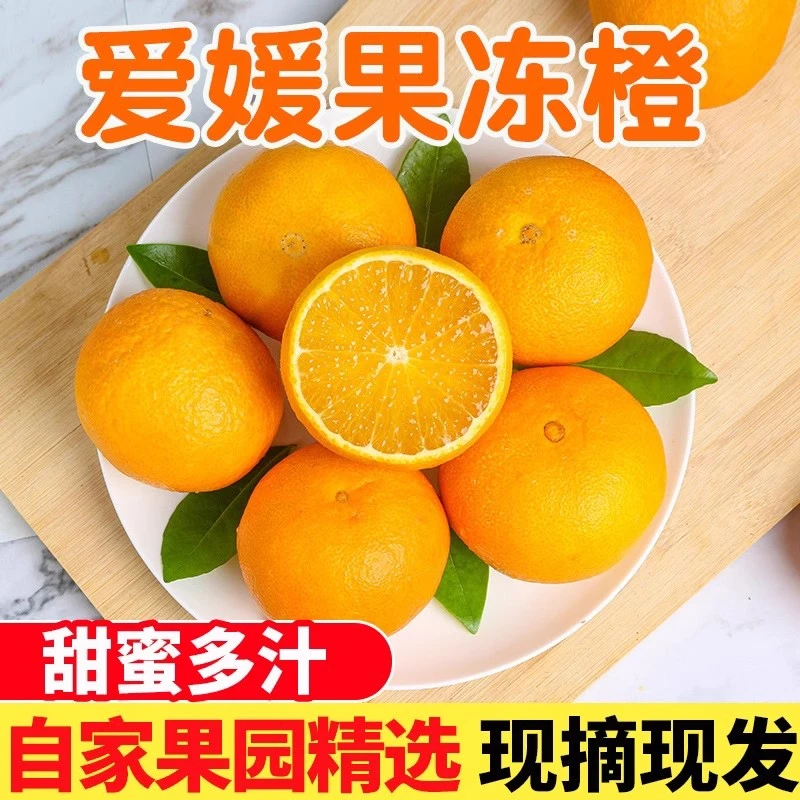 果冻橙爱媛38号眉山果园现摘现发新鲜水果应季水果橘子皮薄多汁